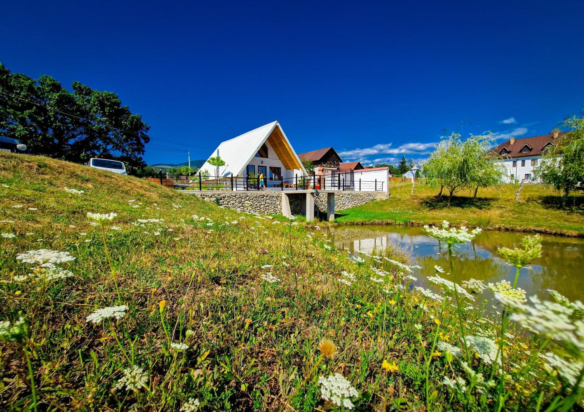 Cabana A Lakeview Villa Cărpinişu Exterior photo